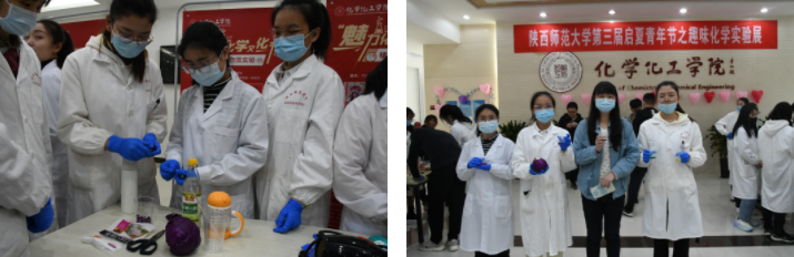 紫包菜.png 紫包菜.png